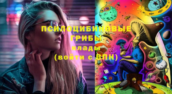 индика Абдулино
