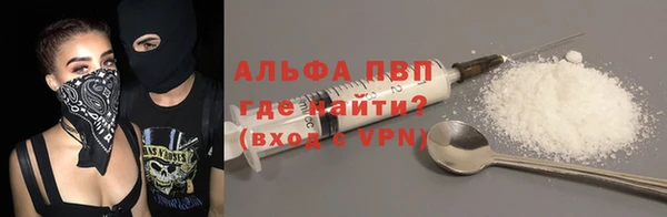 индика Абдулино