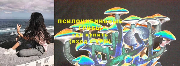 индика Абдулино