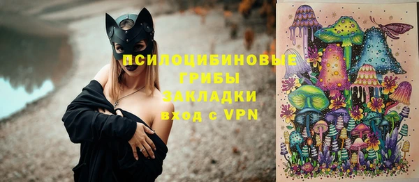 гидра Алзамай