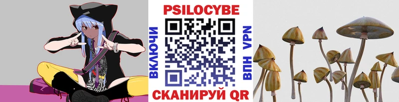 закладка  Симферополь  Галлюциногенные грибы Psilocybine cubensis 