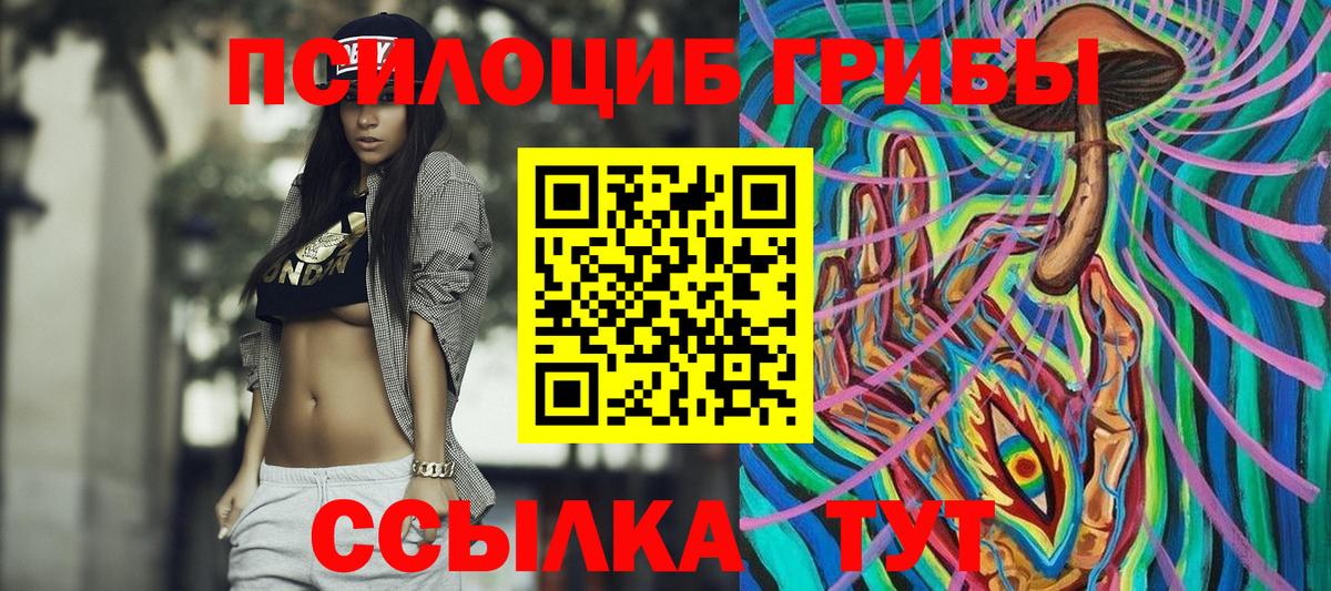 Псилоцибиновые грибы Cubensis  Вход с VPN  Симферополь 