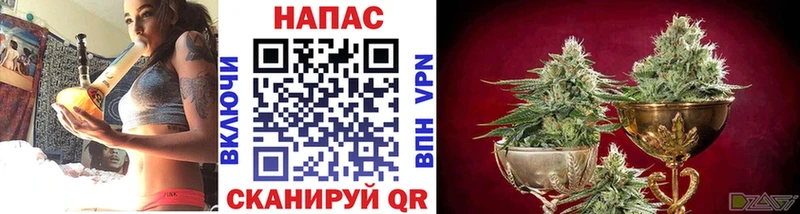 Каннабис тримм Симферополь